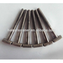 stainless steel customed T bolt